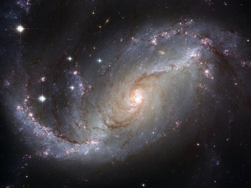 Tech News : Musk’s New AI Company’s Mission To “Understand The Universe”