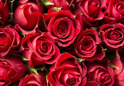 coronavirus-lockdown